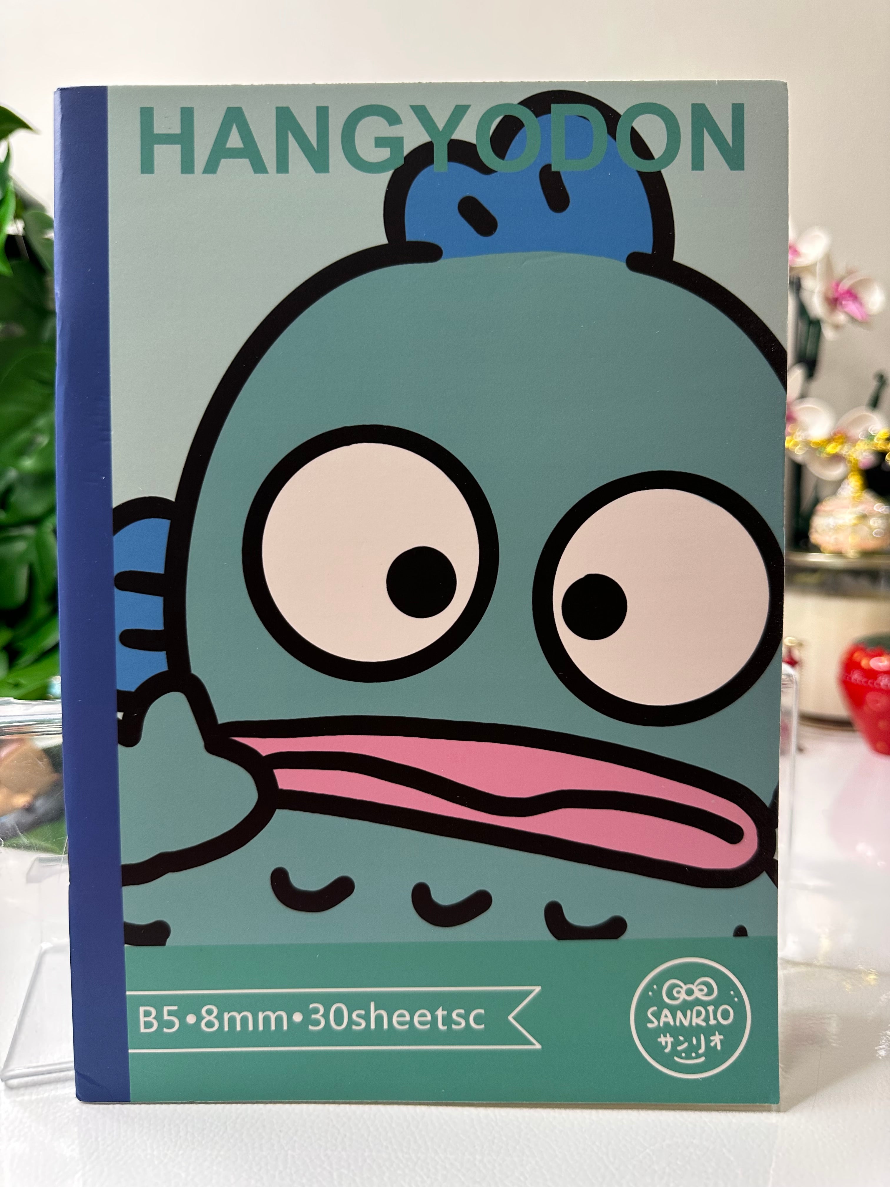 Sanrio Notebook
