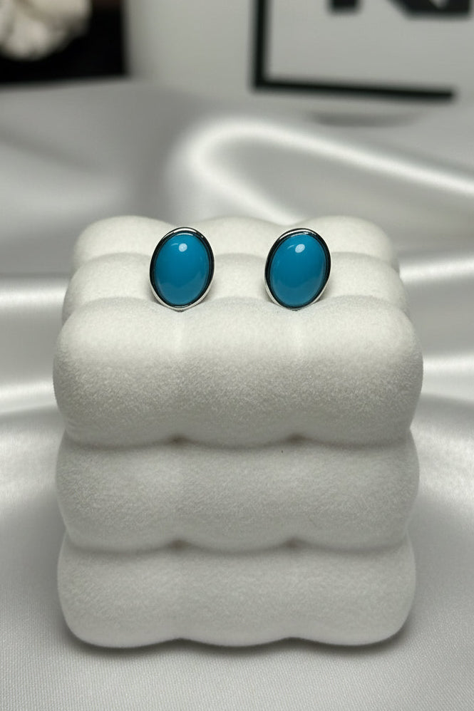 Magnesite Earrings