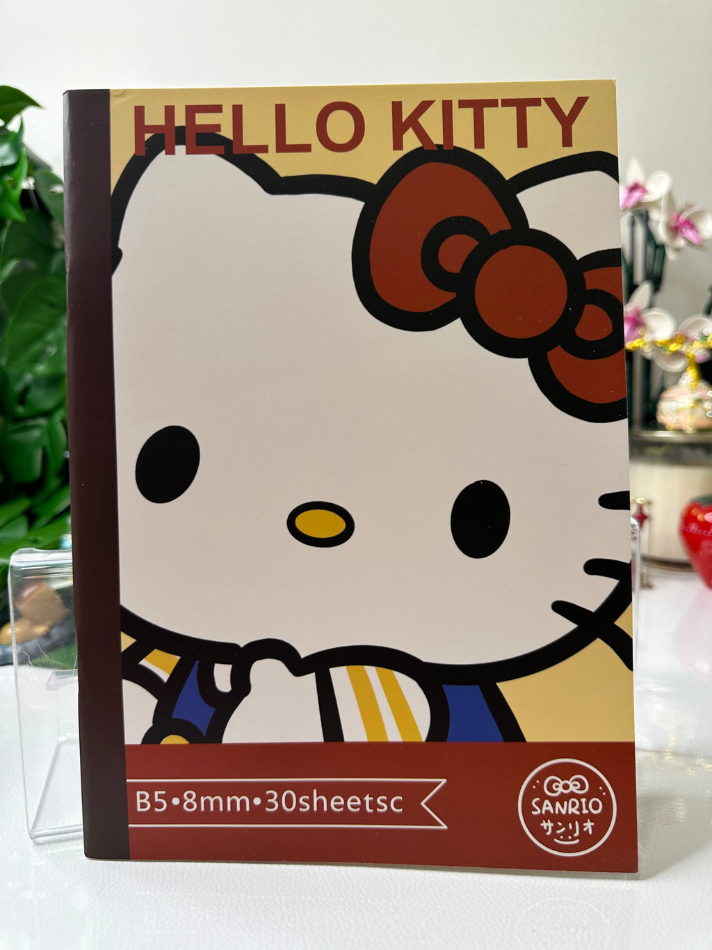 Sanrio Notebook